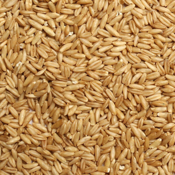 Oat groats